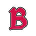 Benedictine University logo