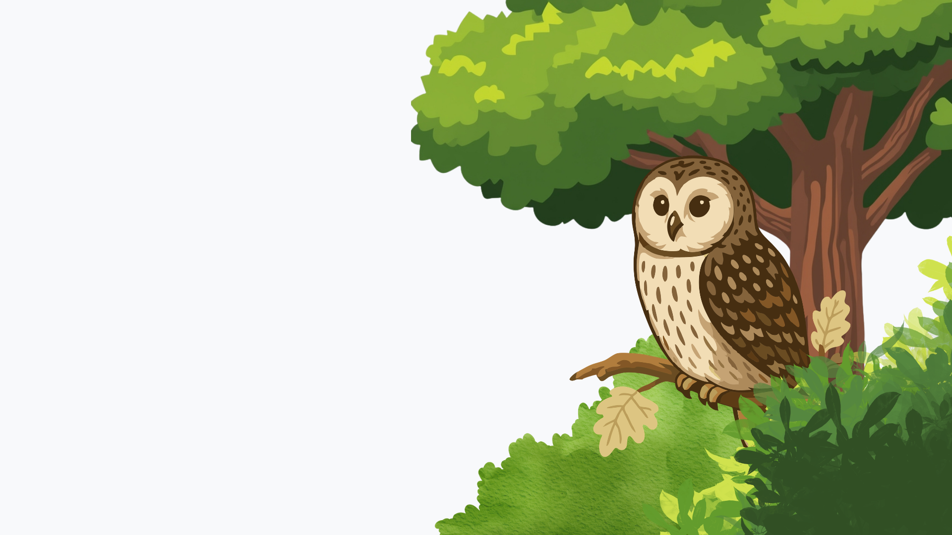 Owl Banner